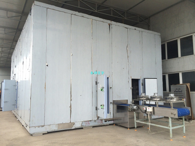 高品质双螺旋冷冻机1000kg -3000kg/h 用于冷冻食品海鲜加工