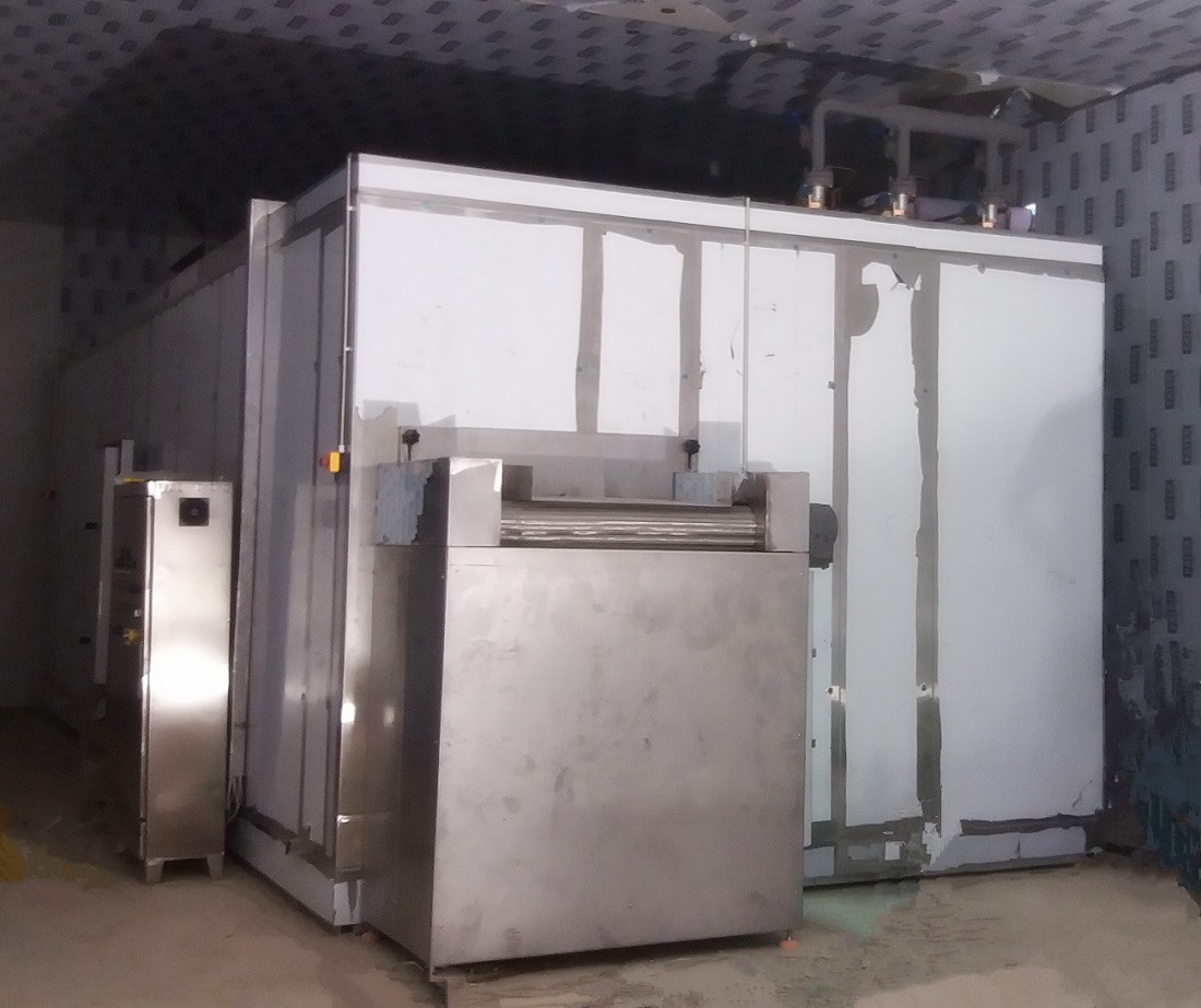弗斯特制冷科技FSLD系列 IQF毛豆速冻机，冻结效果好，产量足